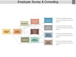 Employee survey and consulting powerpoint show