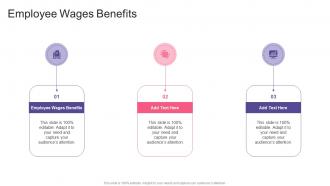 Employee Wages Benefits In Powerpoint And Google Slides Cpb