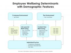 Employee wellbeing determinants with demographic features