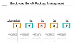 Employees benefit package management ppt presentation infographics slides cpb