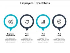 Employees expectations ppt powerpoint presentation model visuals cpb