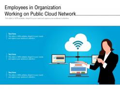 Employees in organization working on public cloud network