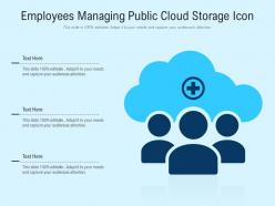 Employees managing public cloud storage icon