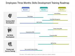 Employees three months skills development training roadmap