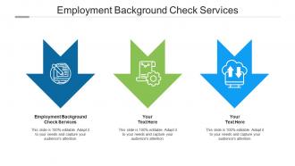 Employment background check services ppt powerpoint presentation slides visuals cpb