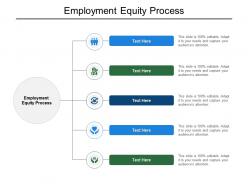 Employment equity process ppt powerpoint presentation portfolio graphics cpb