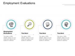 Employment evaluations ppt powerpoint presentation styles visual aids cpb