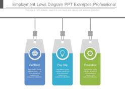 Employment Laws Diagram Ppt Examples Professional