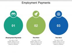 Employment payments ppt powerpoint presentation infographic template templates cpb