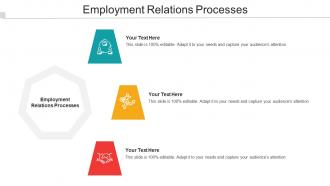 Employment Relations Processes Ppt Powerpoint Presentation Model Cpb