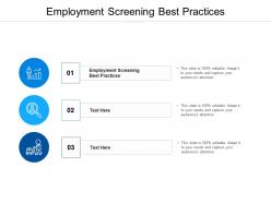 Employment screening best practices ppt powerpoint presentation styles file formats cpb