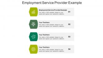 Employment service provider example ppt powerpoint presentation layouts templates cpb