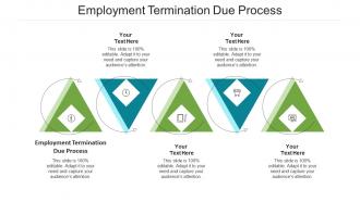 Employment termination due process ppt powerpoint presentation infographic template cpb