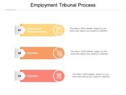 Employment tribunal process ppt powerpoint presentation gallery graphics example cpb