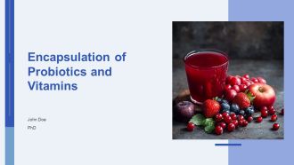 Encapsulation Of Probiotics And Vitamins PPT Example AT