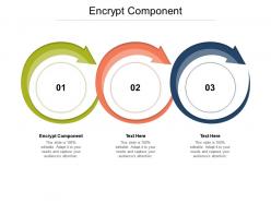 Encrypt component ppt powerpoint presentation model slides cpb
