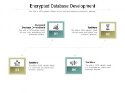 Encrypted database development ppt powerpoint presentation infographics outfit cpb