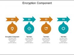 Encryption component ppt powerpoint presentation ideas slides cpb