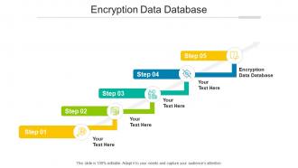 Encryption Data Database Ppt Powerpoint Presentation Outline Structure Cpb