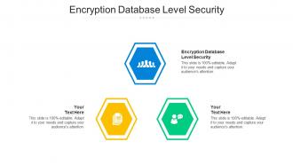 Encryption Database Level Security Ppt Powerpoint Presentation Outline Design Inspiration Cpb