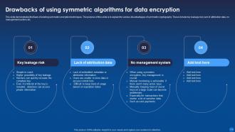 Encryption For Data Privacy In Digital Age IT Powerpoint Presentation Slides Ideas Visual