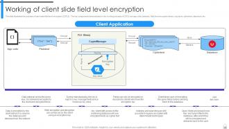 Encryption Implementation Strategies Powerpoint Presentation Slides Customizable Good