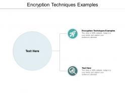 Encryption techniques examples ppt powerpoint presentation infographics tips cpb