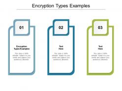 Encryption types examples ppt powerpoint presentation icon visuals cpb