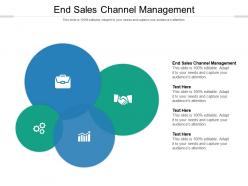 End sales channel management ppt powerpoint presentation ideas shapes cpb