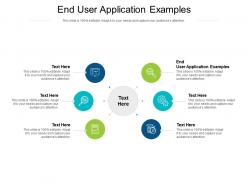End user application examples ppt professional demonstration cpb