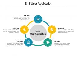 End user application ppt powerpoint presentation infographics graphics example cpb