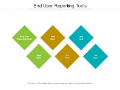 End user reporting tools ppt powerpoint presentation portfolio icons cpb