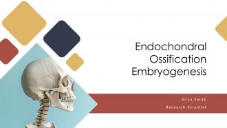 Endochondral Ossification Embryogenesis PPT Guidelines ACP