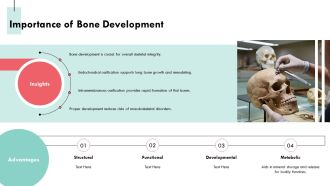 Endochondral Ossification Versus Intramembranous Overview PPT Information AT Multipurpose Informative