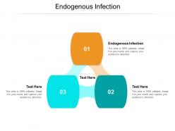 Endogenous infection ppt powerpoint presentation show clipart images cpb