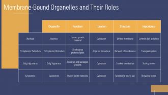 Endomembrane System Function Biology PPT Summary ACP Engaging Impressive
