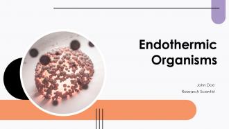 Endothermic Organisms PPT Mockup ACP