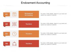 Endowment accounting ppt powerpoint presentation infographic template cpb
