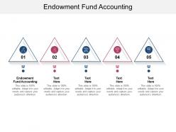 Endowment fund accounting ppt powerpoint presentation gallery slide portrait cpb
