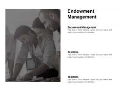 Endowment management ppt powerpoint presentation gallery diagrams cpb
