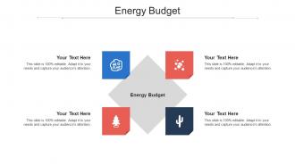 Energy budget ppt powerpoint presentation styles graphics tutorials cpb