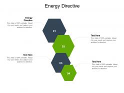 Energy directive ppt powerpoint presentation professional infographic template cpb