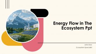 Energy Flow In The Ecosystem PPT Information ACP