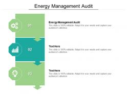 Energy management audit ppt powerpoint model infographic template cpb