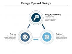 Energy pyramid biology ppt powerpoint presentation slides format cpb