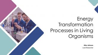 Energy Transformation Processes In Living Organisms PPT Slides AT