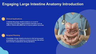 Slide introduces large intestine anatomy for clinical applications and surgical planning