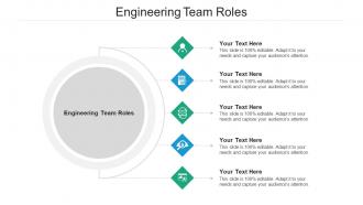 Engineering team roles ppt powerpoint presentation model portrait cpb