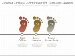 Enhanced corporate control powerpoint presentation examples