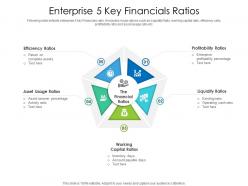Enterprise 5 key financials ratios
